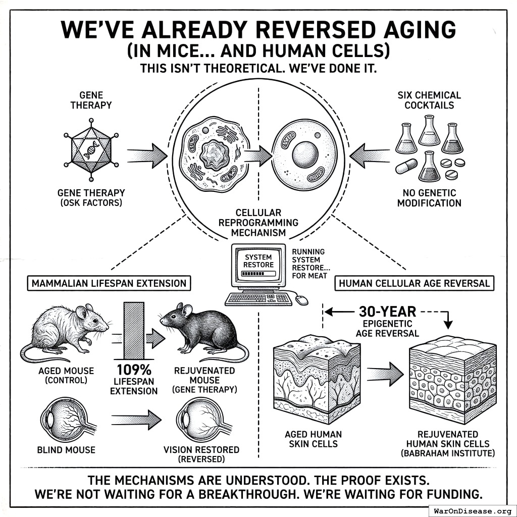 Scientists made mice live twice as long and turned old skin cells into young ones. You spend the same amount of money on fighter jets every six hours.